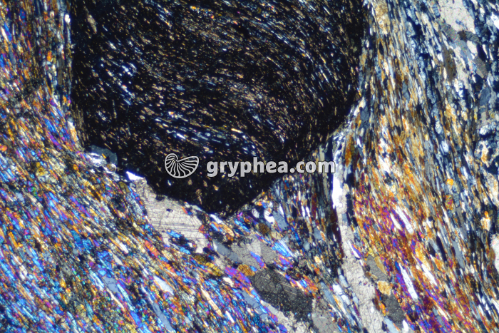 Schiste à grenats et glaucophane LPA x6,3 - gryphea.com